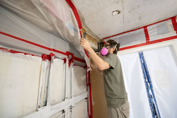 Conshohocken, PA Mold Removal Company