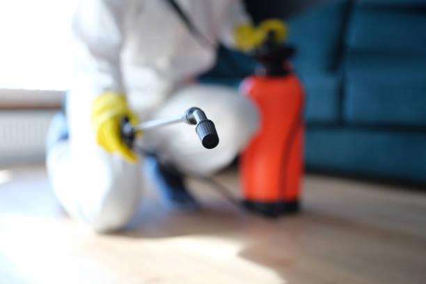 Best Basement Mold Removal  in Conshohocken, PA